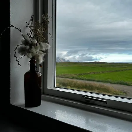 Sauthanes Guesthouse Höfn Exterior foto